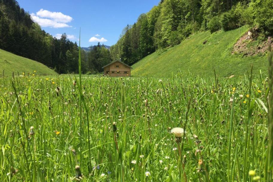 Vila Ferienhaus Rimsgrund Bezau Exteriér fotografie